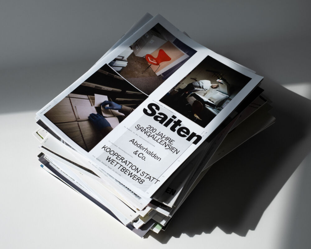 Michel Egger Saiten Kulturmagazin 353 Mobile