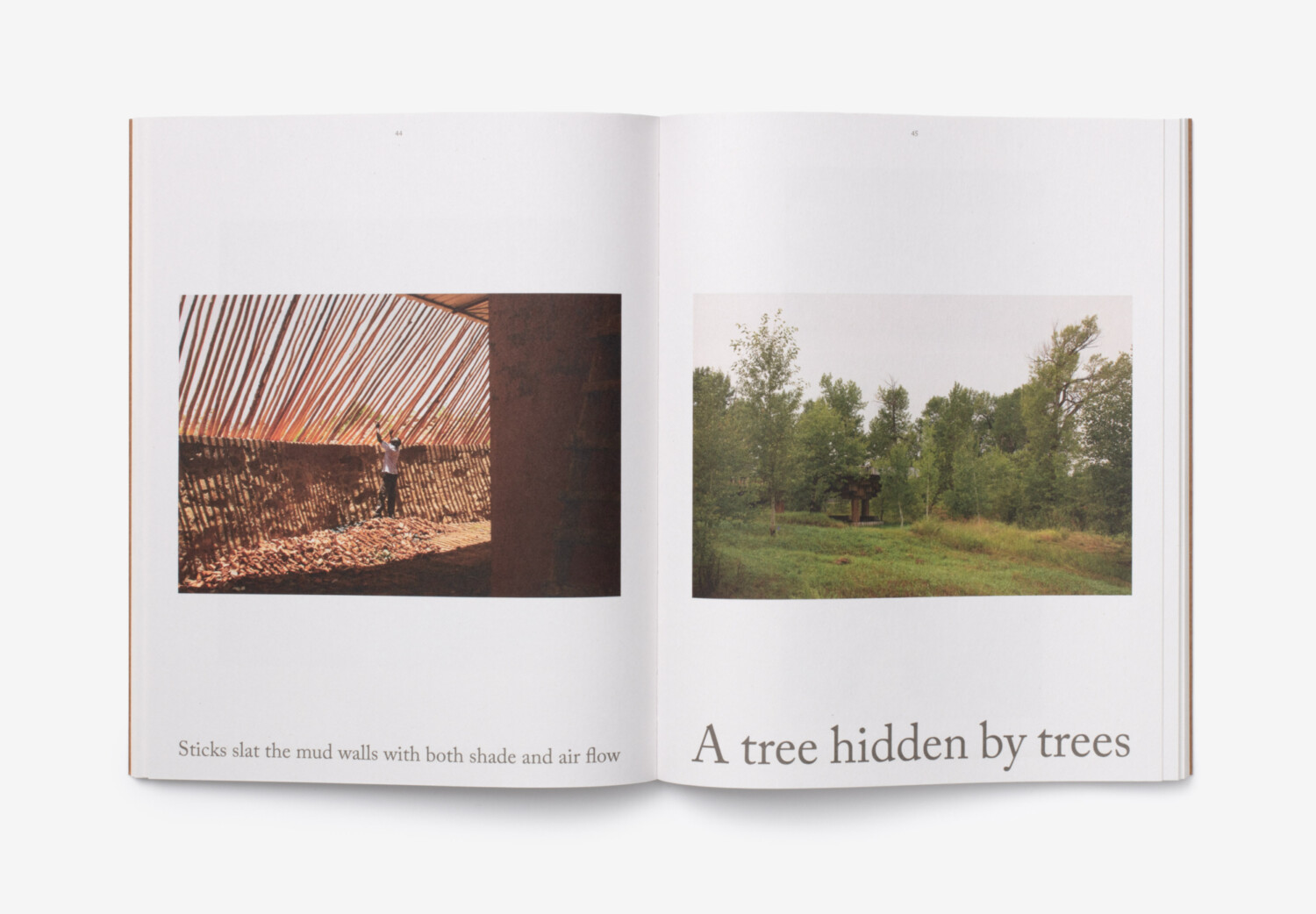 Baenziger Egger Spirits Out of Trees 08