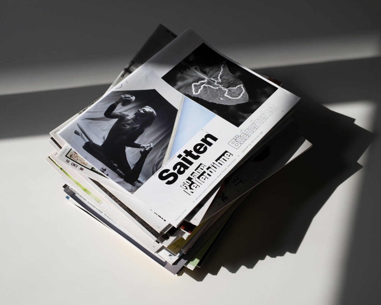 Michel Egger Saiten Kulturmagazin 348