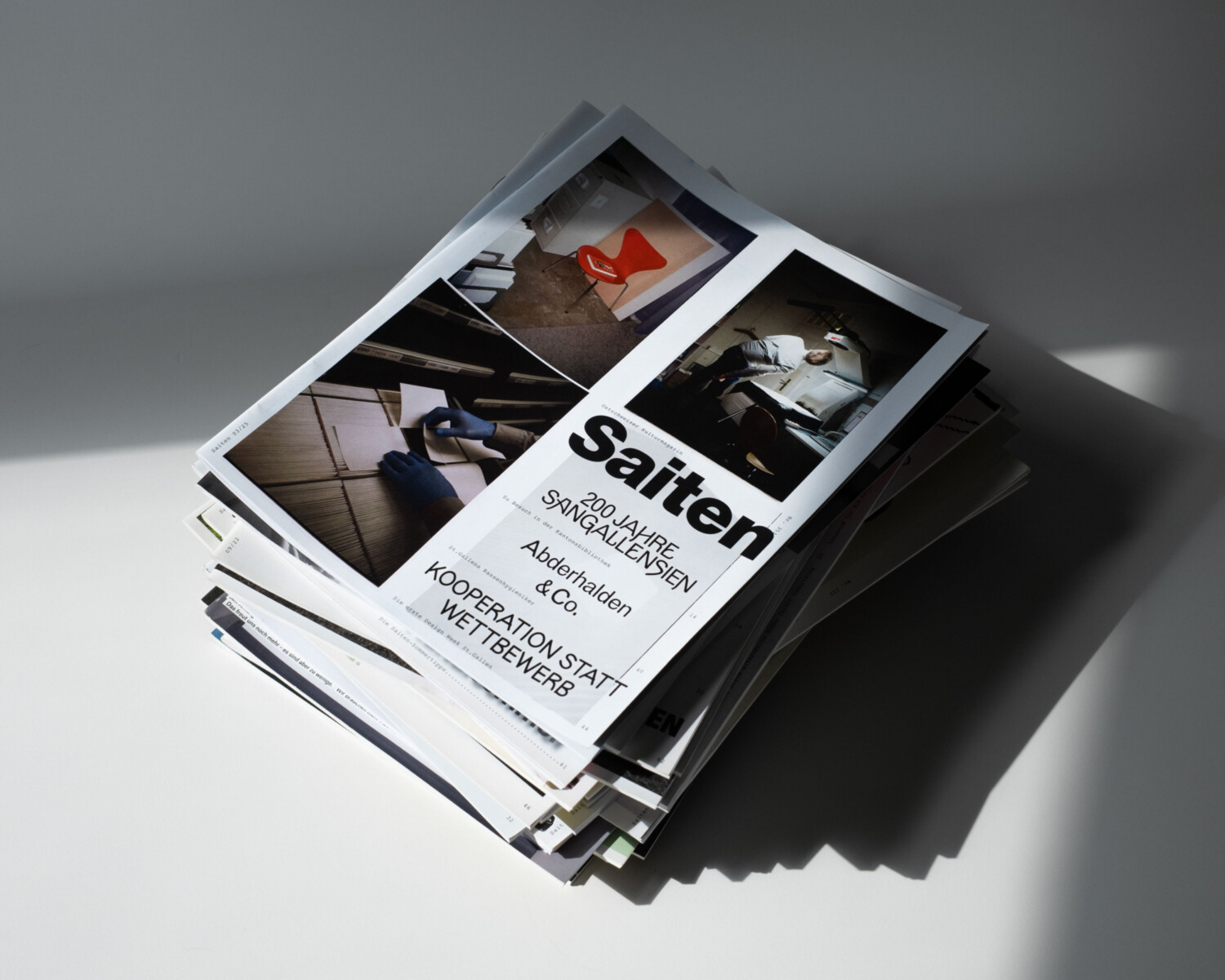 Michel Egger Saiten Kulturmagazin 353