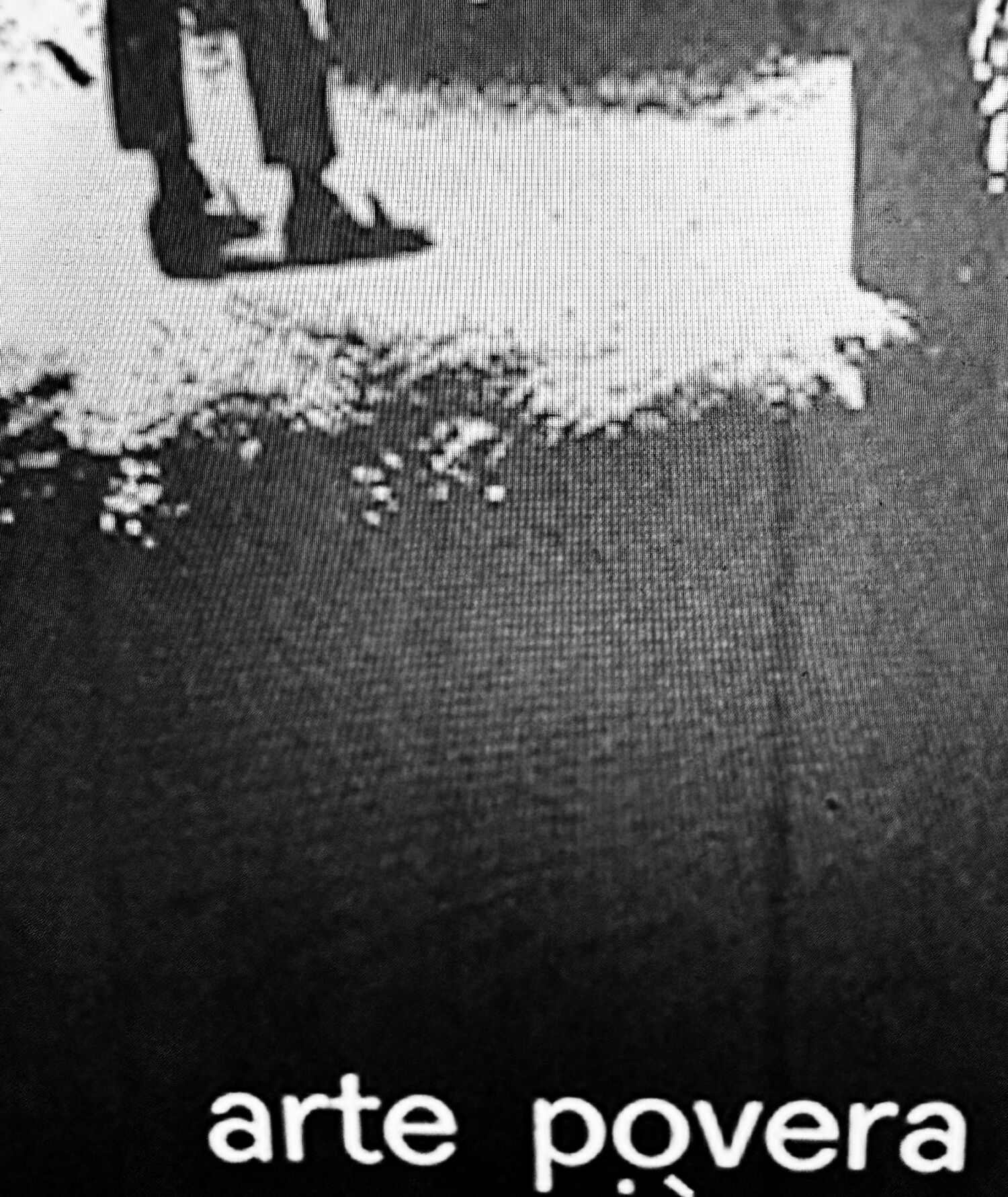 Arte Povera Test